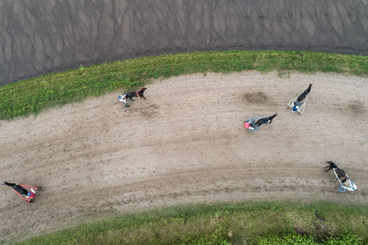 На киевском ипподроме прошли испытания рысистых лошадей породы Орловская рысистая