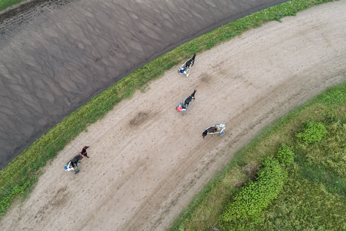 За престижный приз БАРСА боролись 12 лучших скакунов