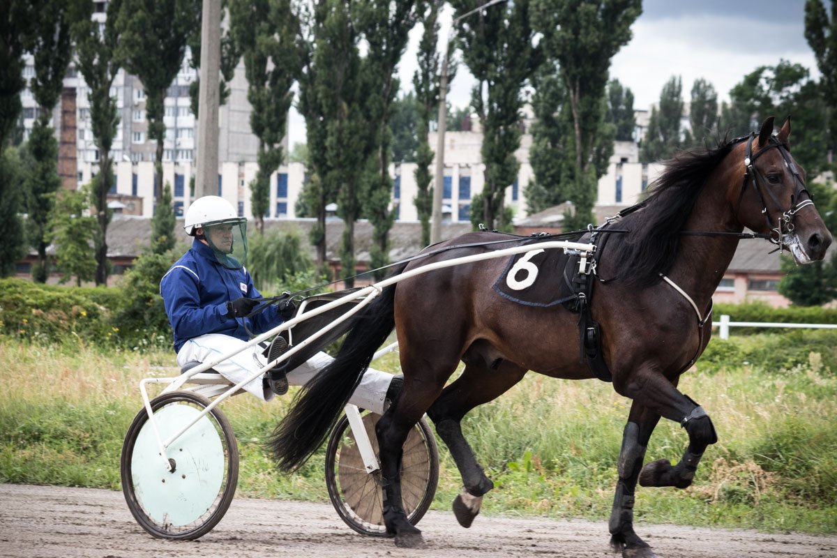 Взрослые и самые младшие зрители наблюдали за перегонами и болели за своих фаворитов