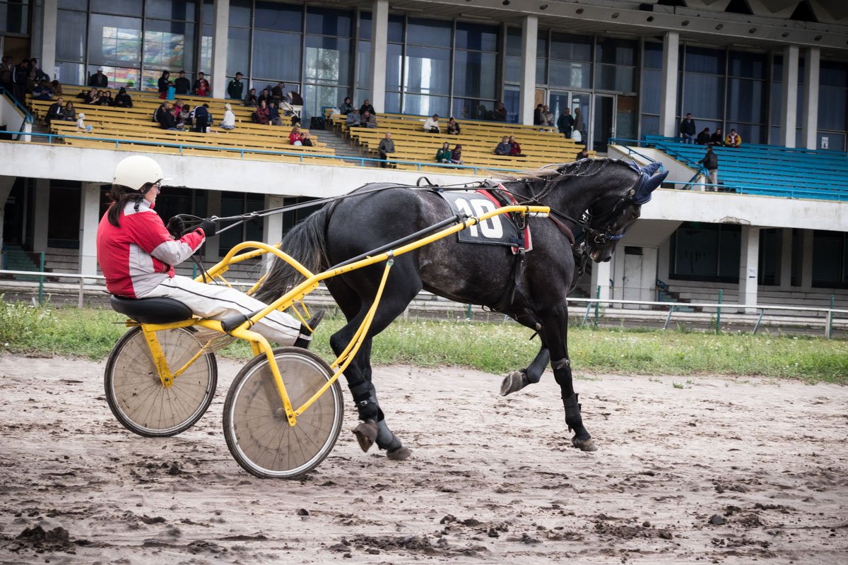 А кто-то болел за серого жеребца Измаила