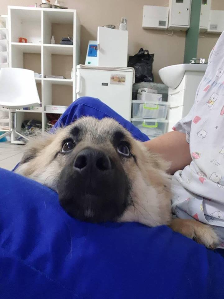 Умке нужна семья Умке нужна семья