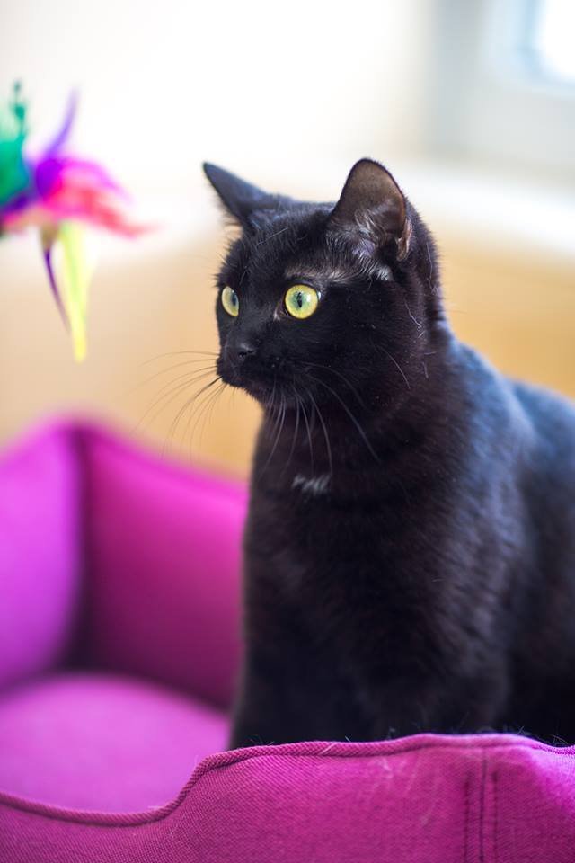 Кофе однозначно будет вас бодрить и радовать Кофе однозначно будет вас бодрить и радовать