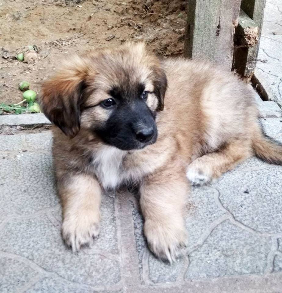 Как любым детям, им нужны любящие родители Как любым детям, им нужны любящие родители