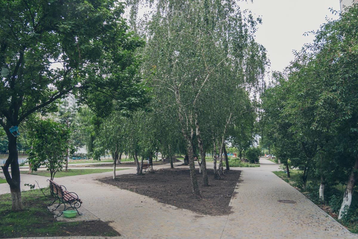 На газонах насыпана свежая земля