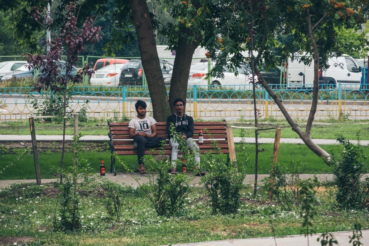 Молодые насаждения