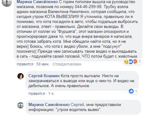 В Киеве кот поел колбасу с прилавка: магазин отмалчивается, в сети говорят об убийстве животного 5