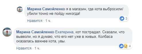 В Киеве кот поел колбасу с прилавка: магазин отмалчивается, в сети говорят об убийстве животного 6