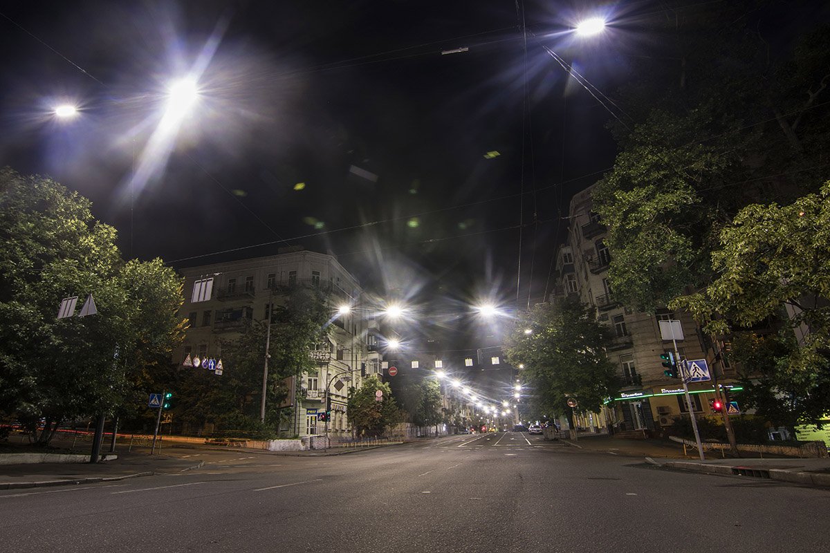 Густые зеленые ветви деревьев словно пытаются обнять улицу 