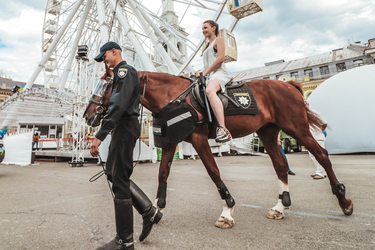 Галопом не поскачешь Галопом не поскачешь