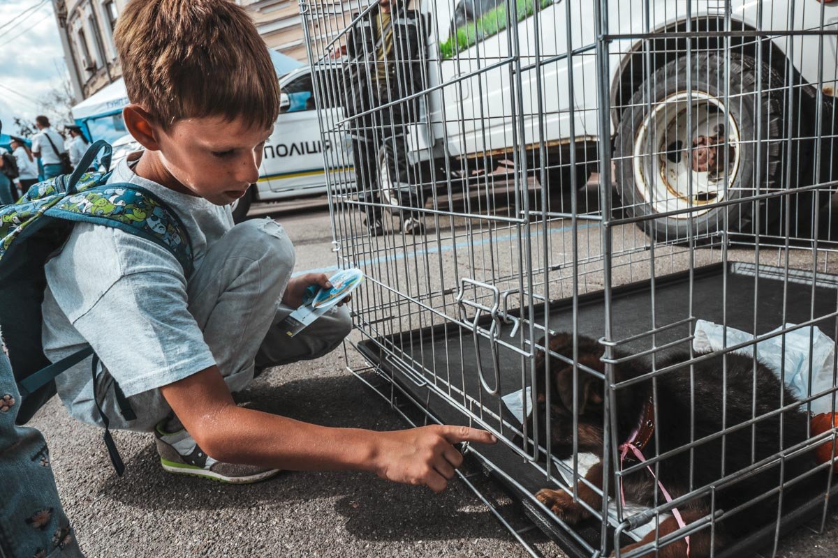 Это ты сейчас маленький, а вырастешь - злодеям мало не покажется Это ты сейчас маленький, а вырастешь - злодеям мало не покажется