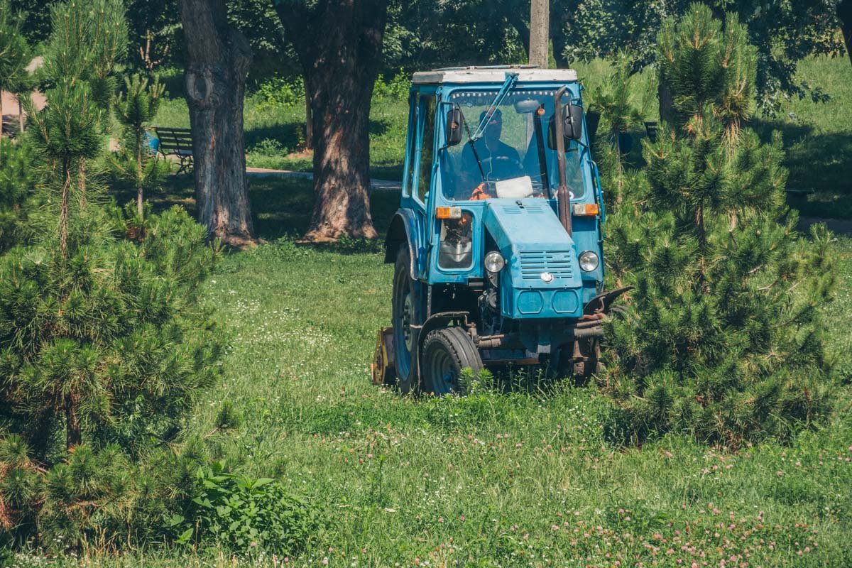 Стригут газончик Стригут газончик