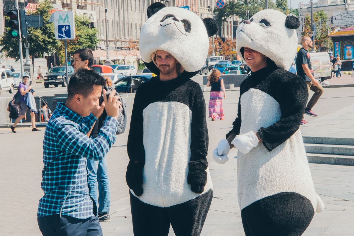 Девочки, а вы тоже захотели себе этого Мистера Панду домой?
