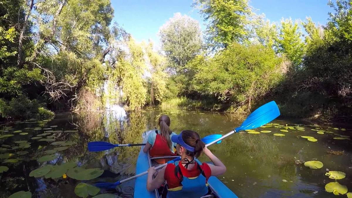 Вы сможете отправиться в поход на каяках и байдарках и получить массу позитивных впечатлений, любуясь прекрасной природой парка Муромец