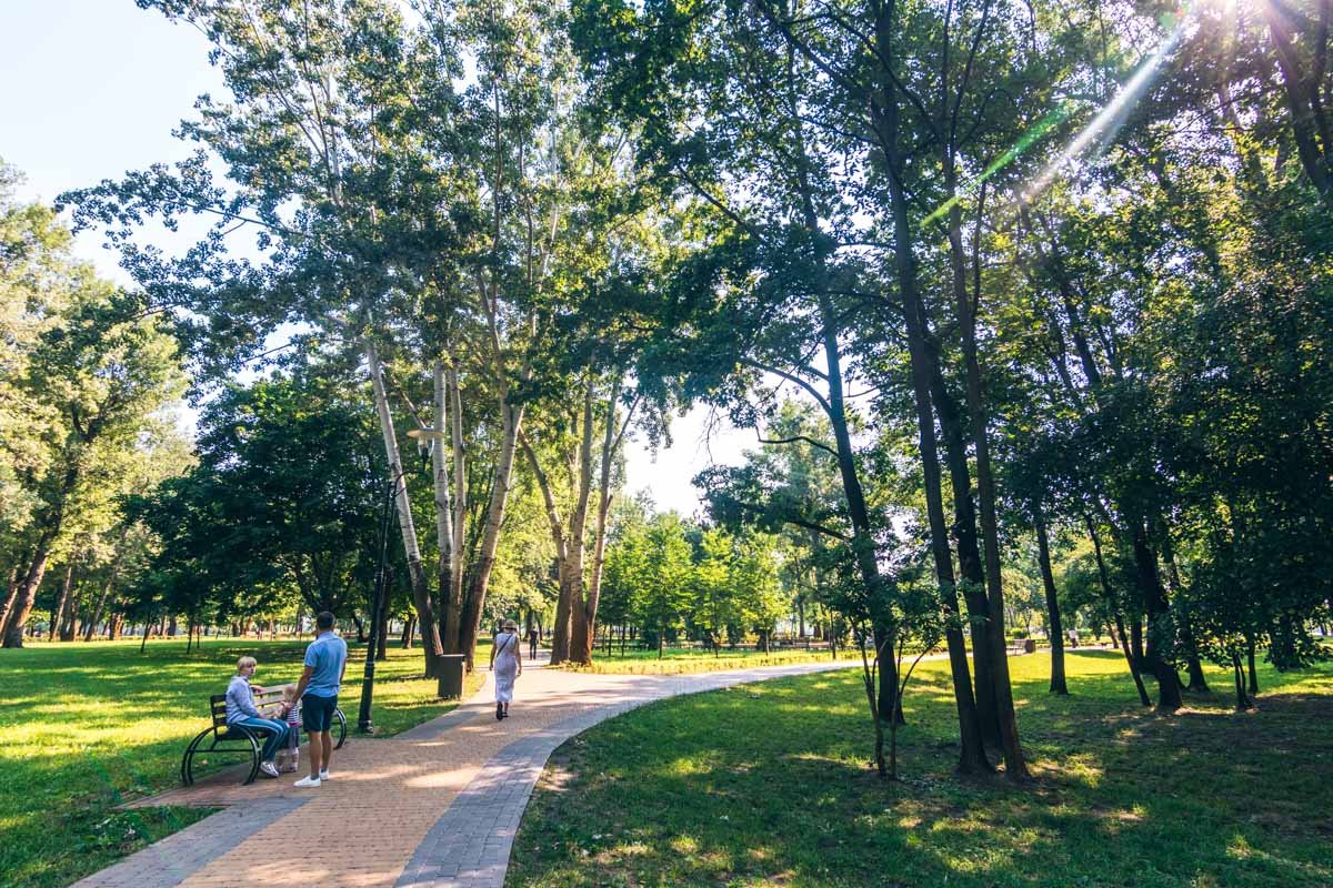 В тени приятно отдохнуть