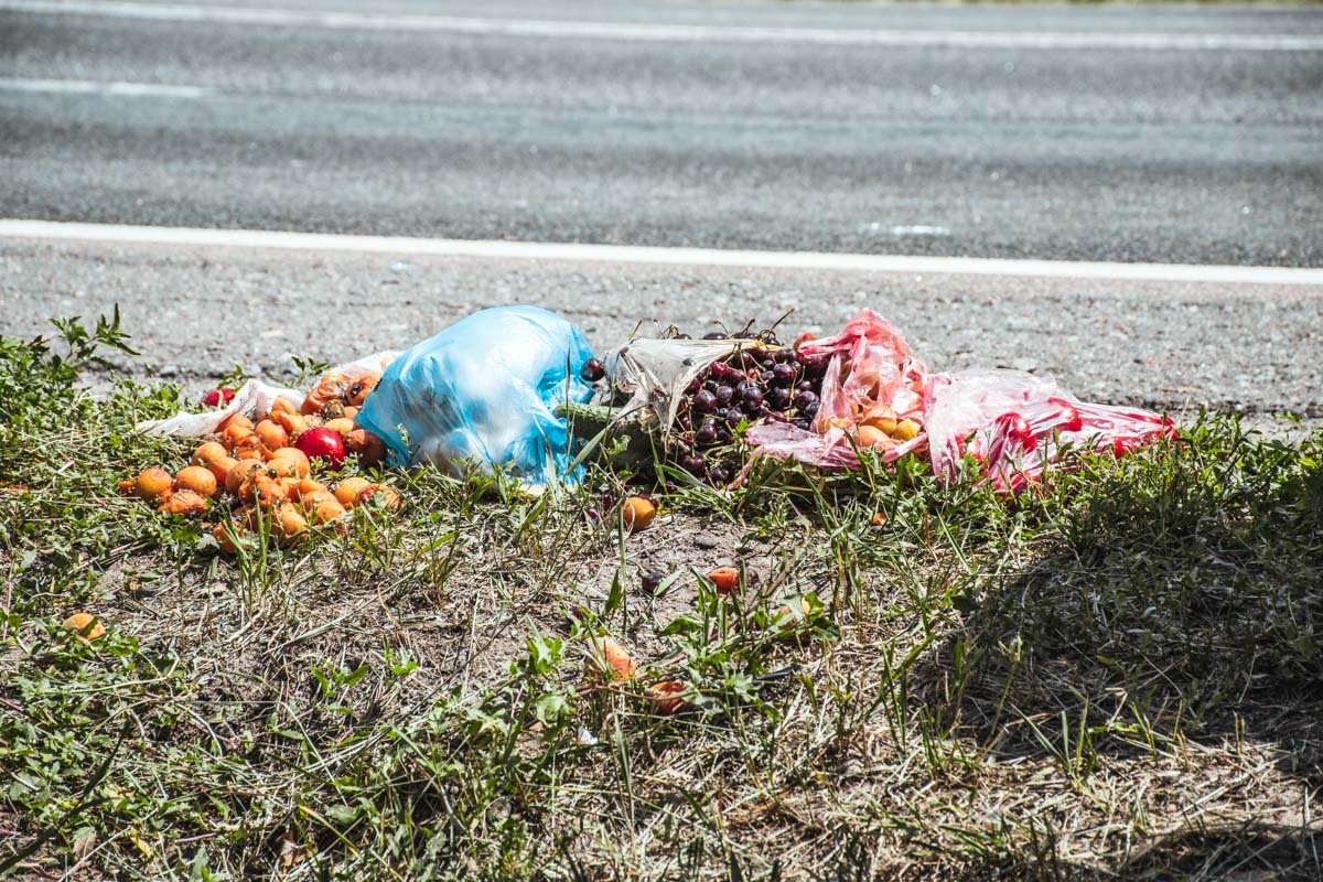 Из салона Škoda разлетелись ягоды и фрукты