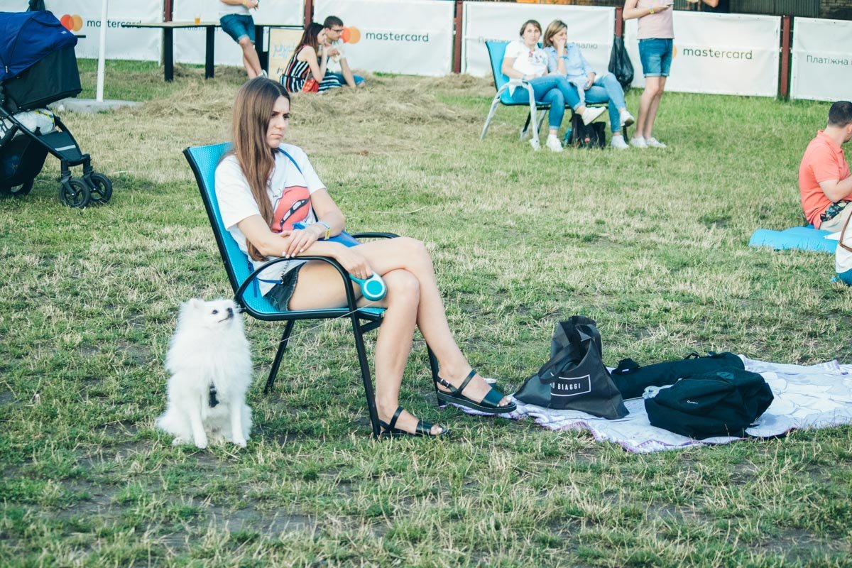 Кто пришел тусить: девушка или пес?