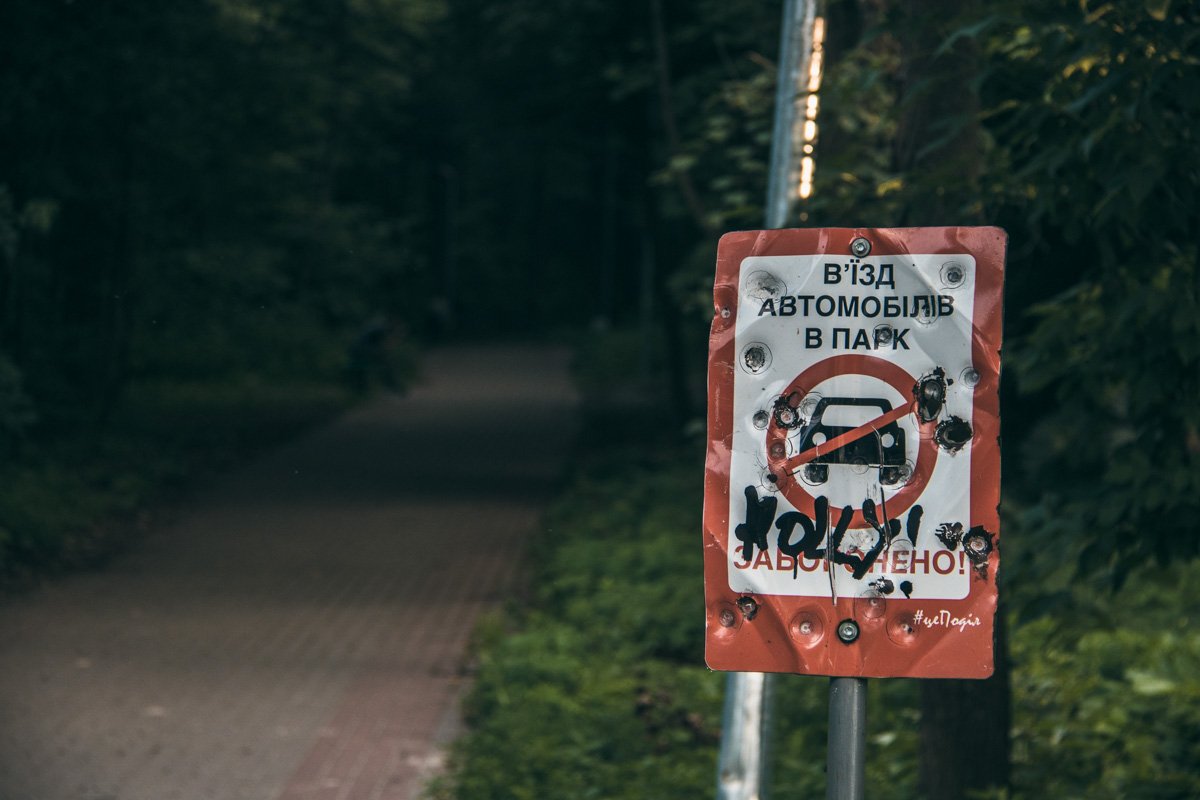 В Киеве на окраине парка "Сырецкий гай" тушат масштабный пожар 8