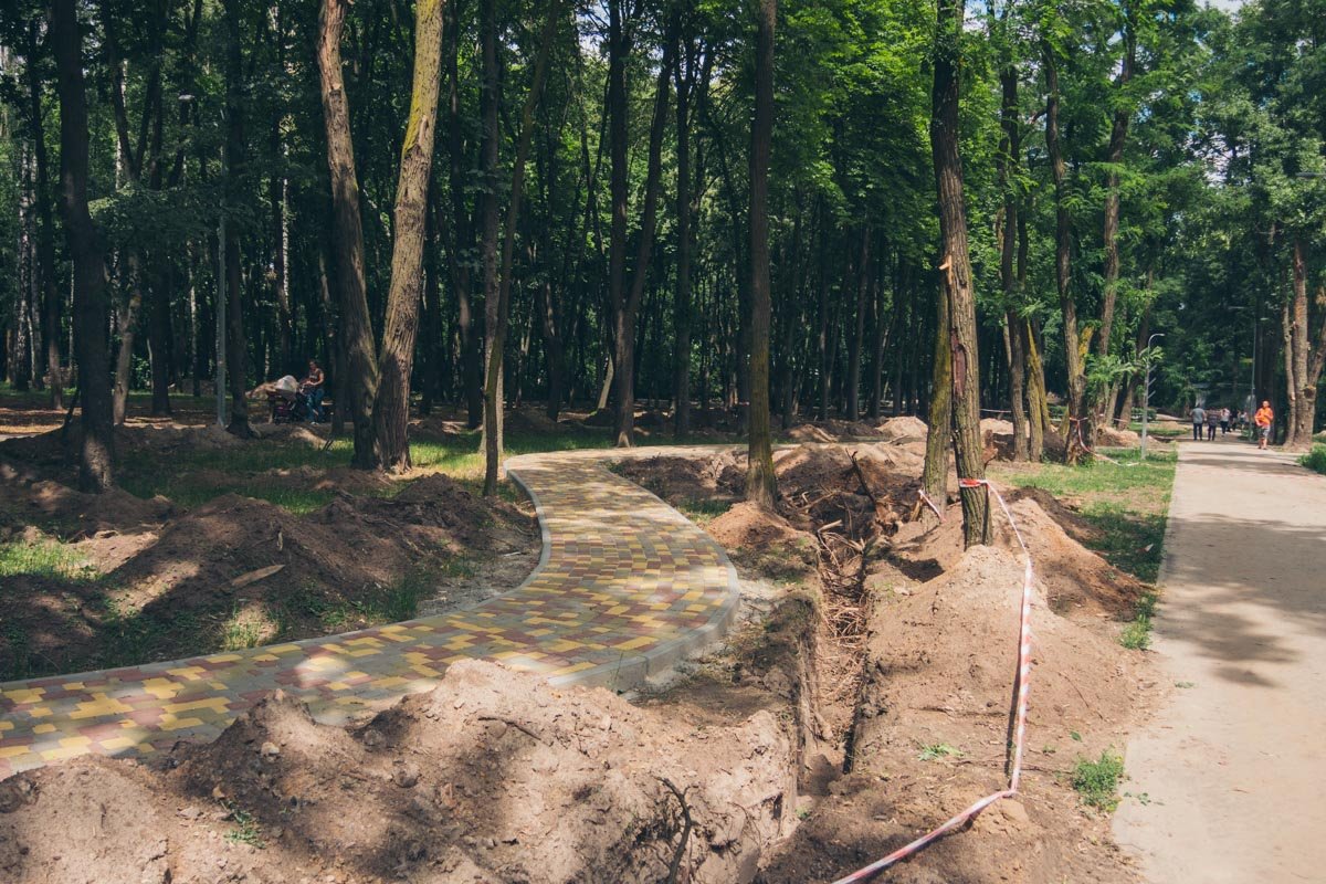 Информатор приедет и проинспектирует новые дорожки после окончания работ Информатор приедет и проинспектирует новые дорожки после окончания работ