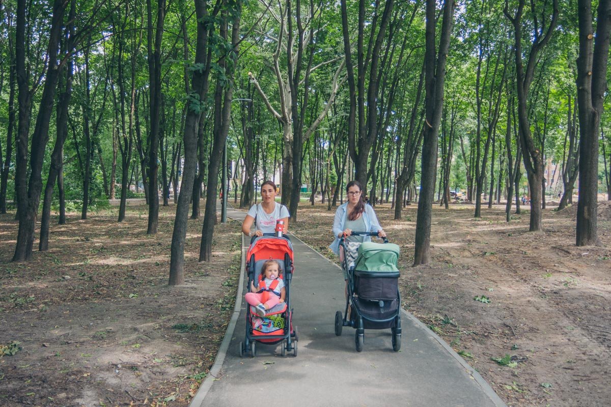 Летом гулять по таким зеленым зонам - одно удовольствие Летом гулять по таким зеленым зонам - одно удовольствие