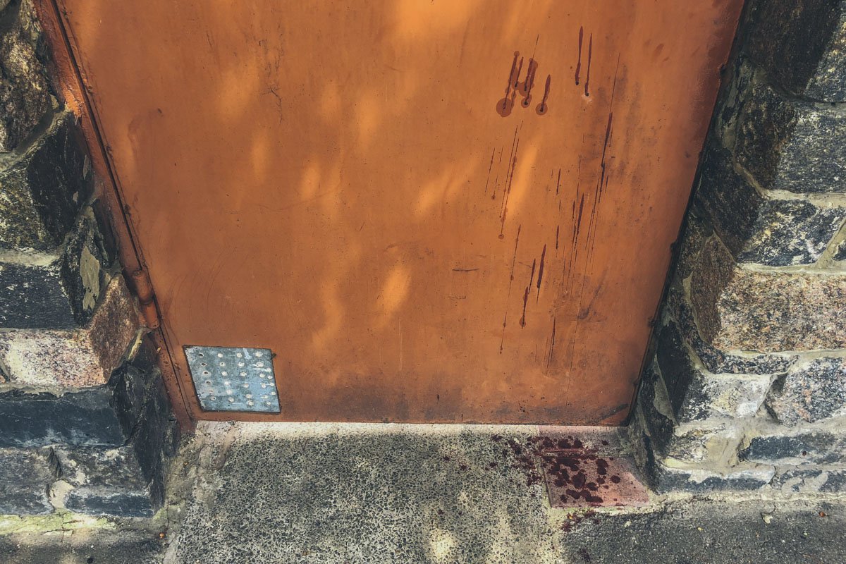 Ворота дома 69а по улице Заречной Ворота дома 69а по улице Заречной