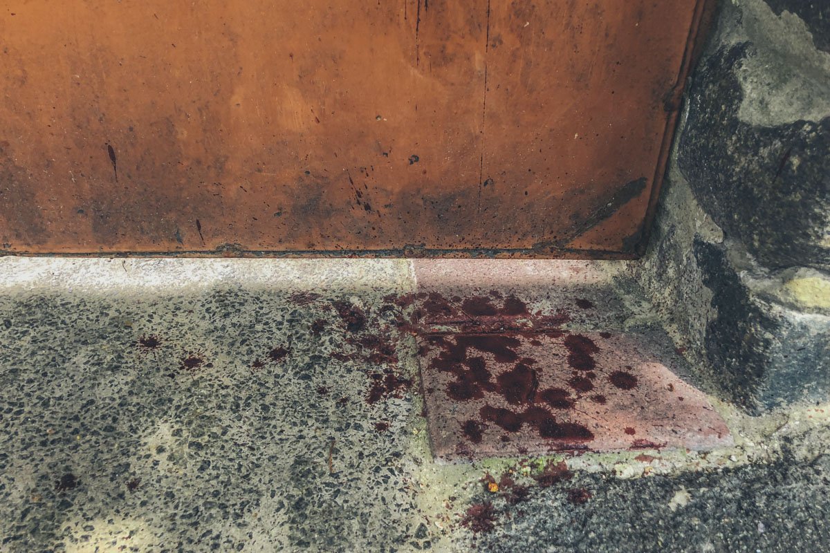 Он не знал о случившемся у ворот своего дома Он не знал о случившемся у ворот своего дома