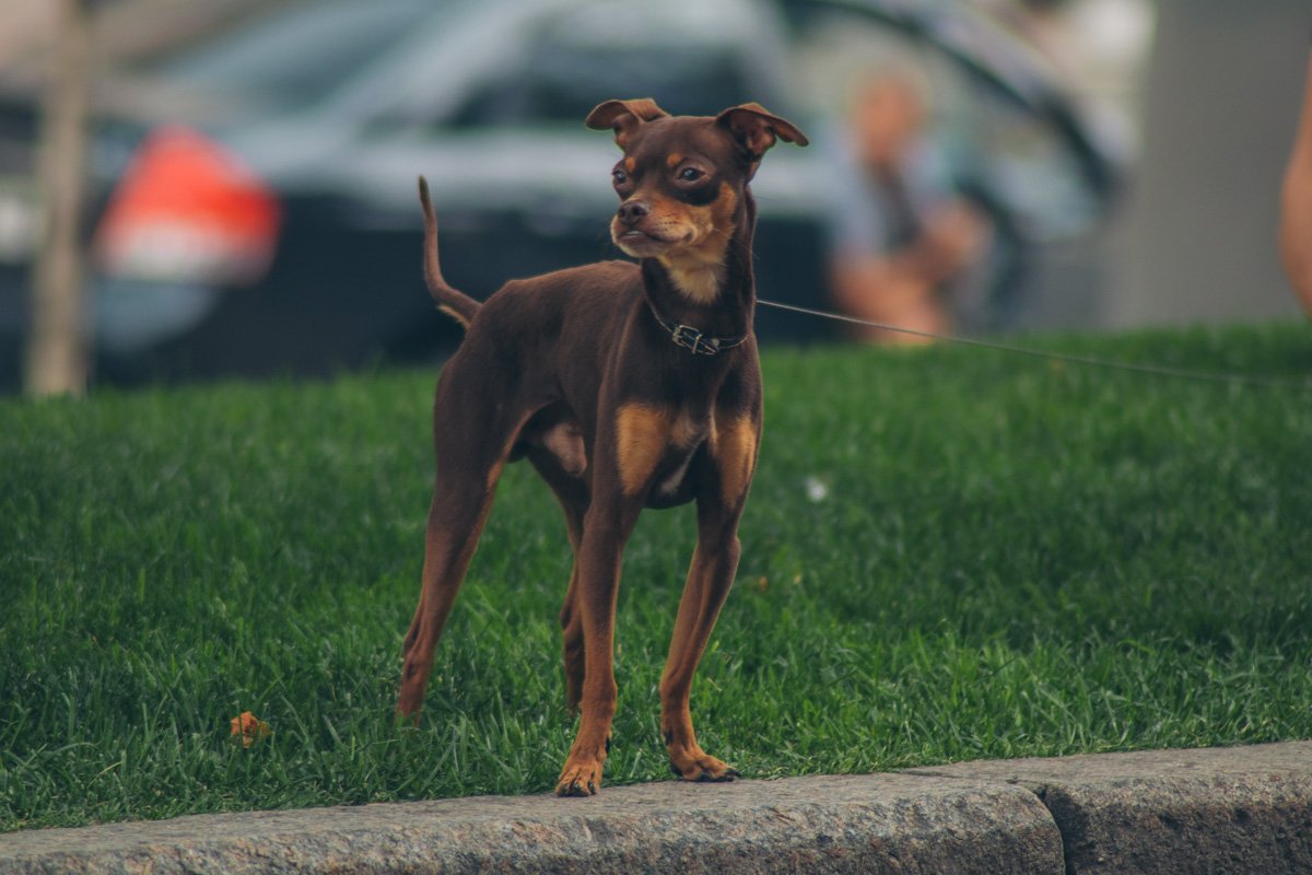 Единственный, кто сосредоточен на окружающем мире