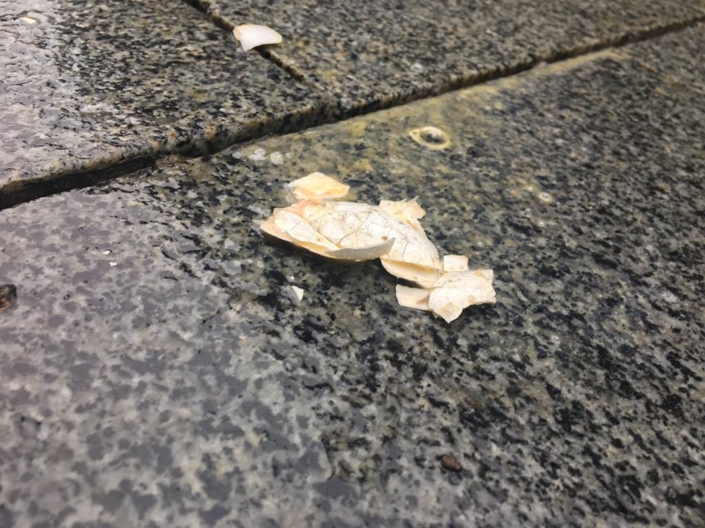 Тысячи людей в касках и робах идут к Кабмину: чего хотят митингующие 4