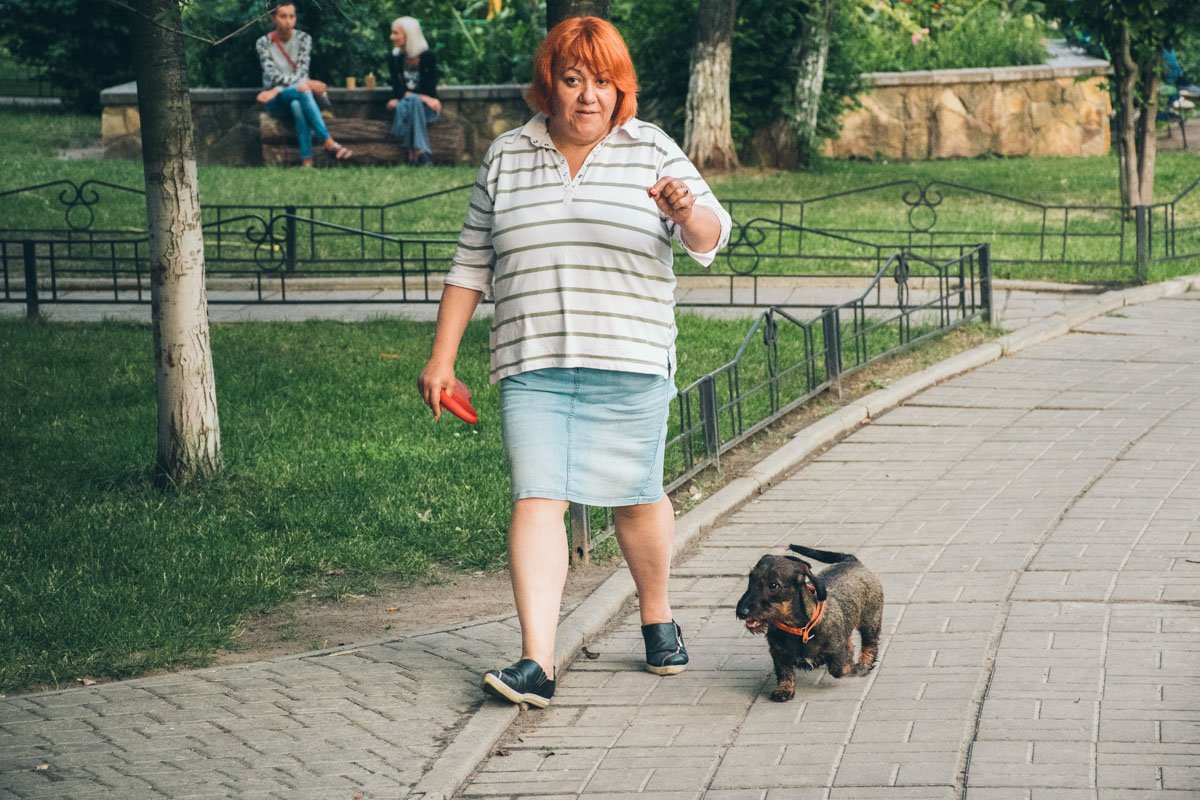 Как и владельцы собак, которые чаще бегают без поводка и могут схватить дохлую птицу 