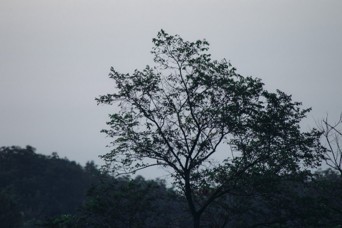 Отсюда даже небо выглядит более хмурым