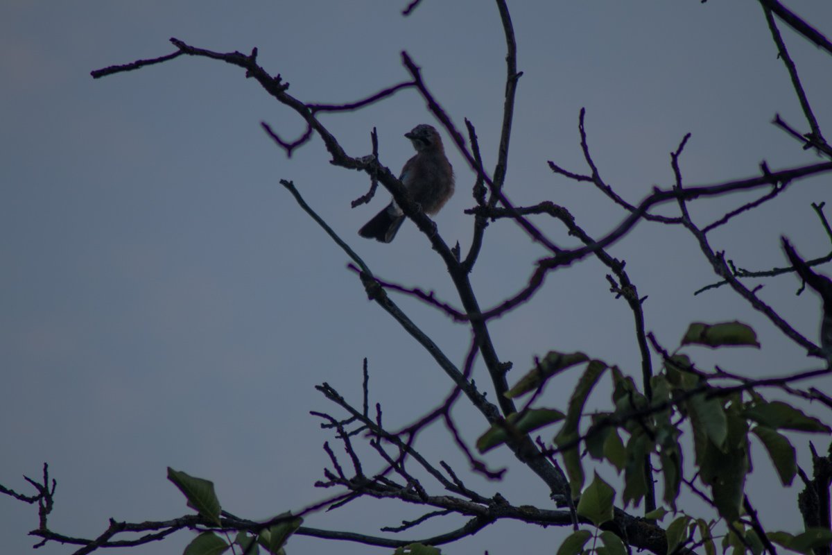 Птицам с высоты видно много тайн, которые не видны человеческому глазу