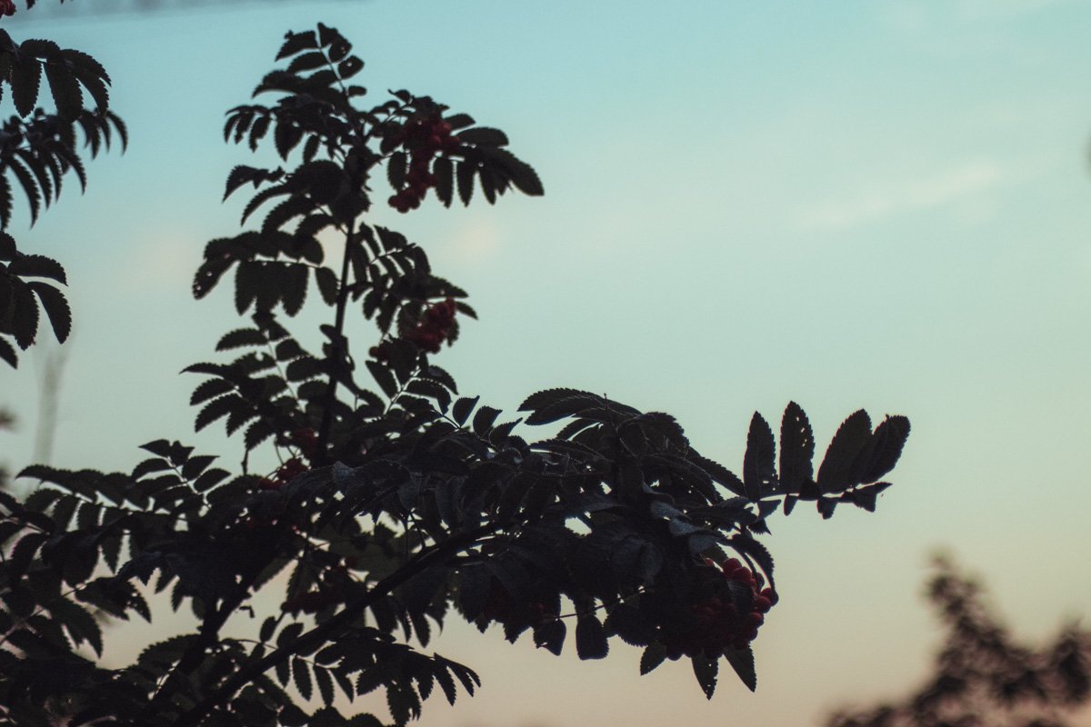 У вас не пробегает холодок по телу?