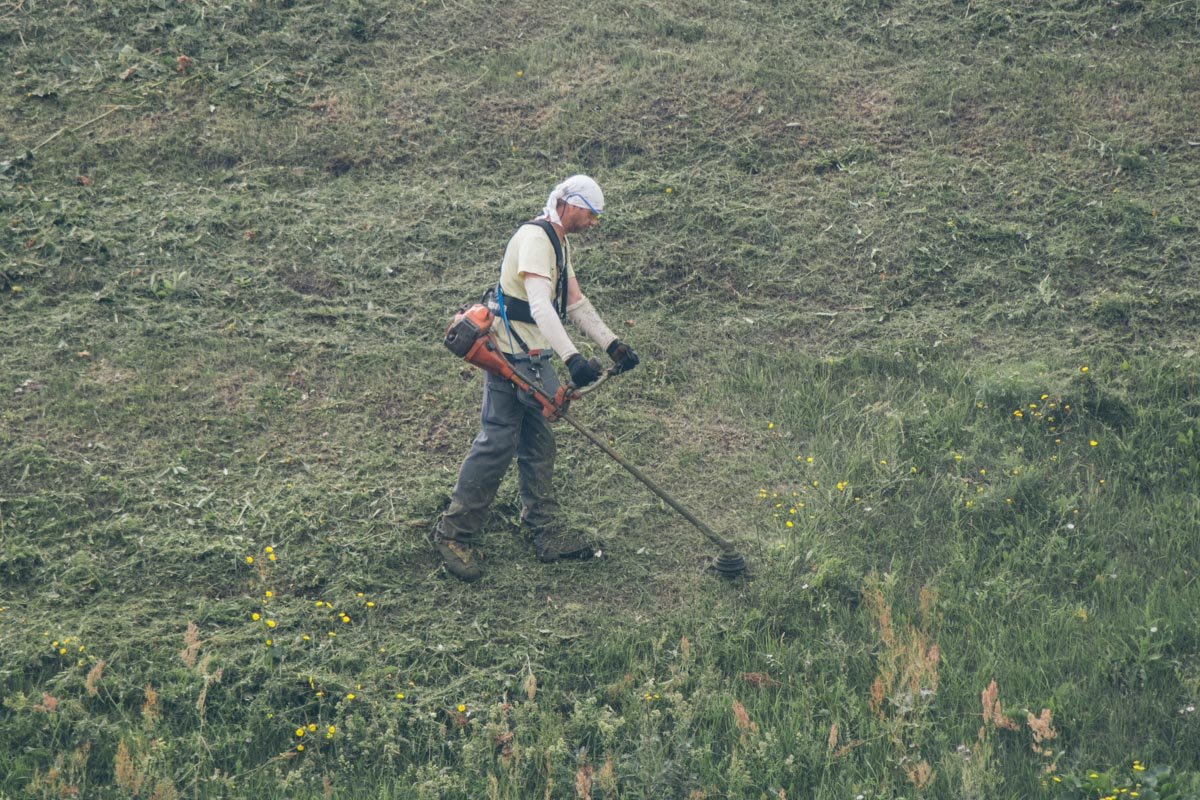Запах свежескошенной травы....и сразу окунаешься в детство Запах свежескошенной травы....и сразу окунаешься в детство