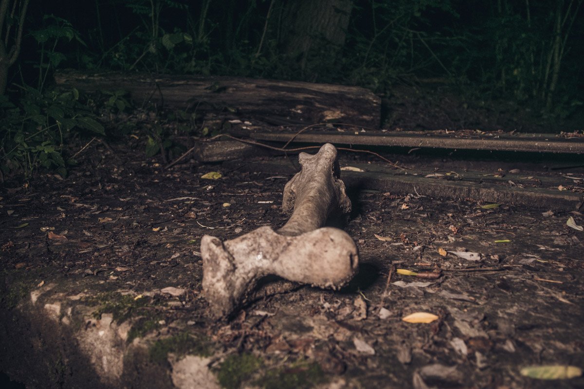 Страшная находка в Кирилловском гаю