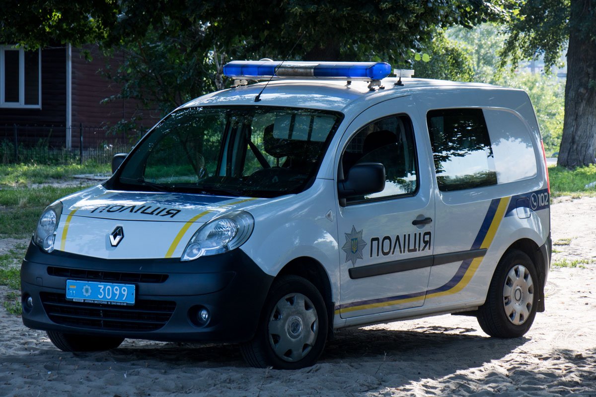 Причинами трагедий занимаются правоохранительные органы