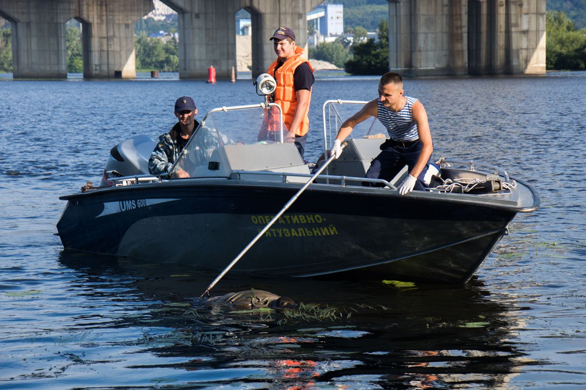Труп в воде около 06:15 заметил местный житель