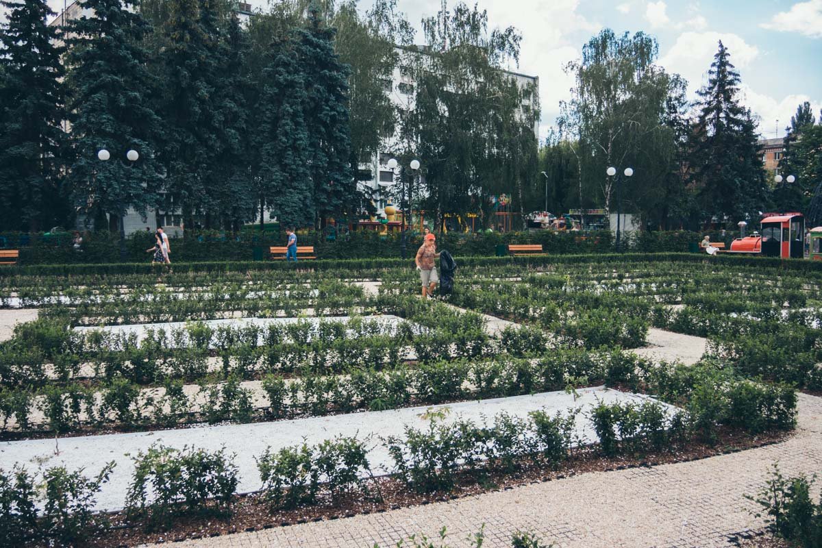 Весь парк зеленый и красивый Весь парк зеленый и красивый