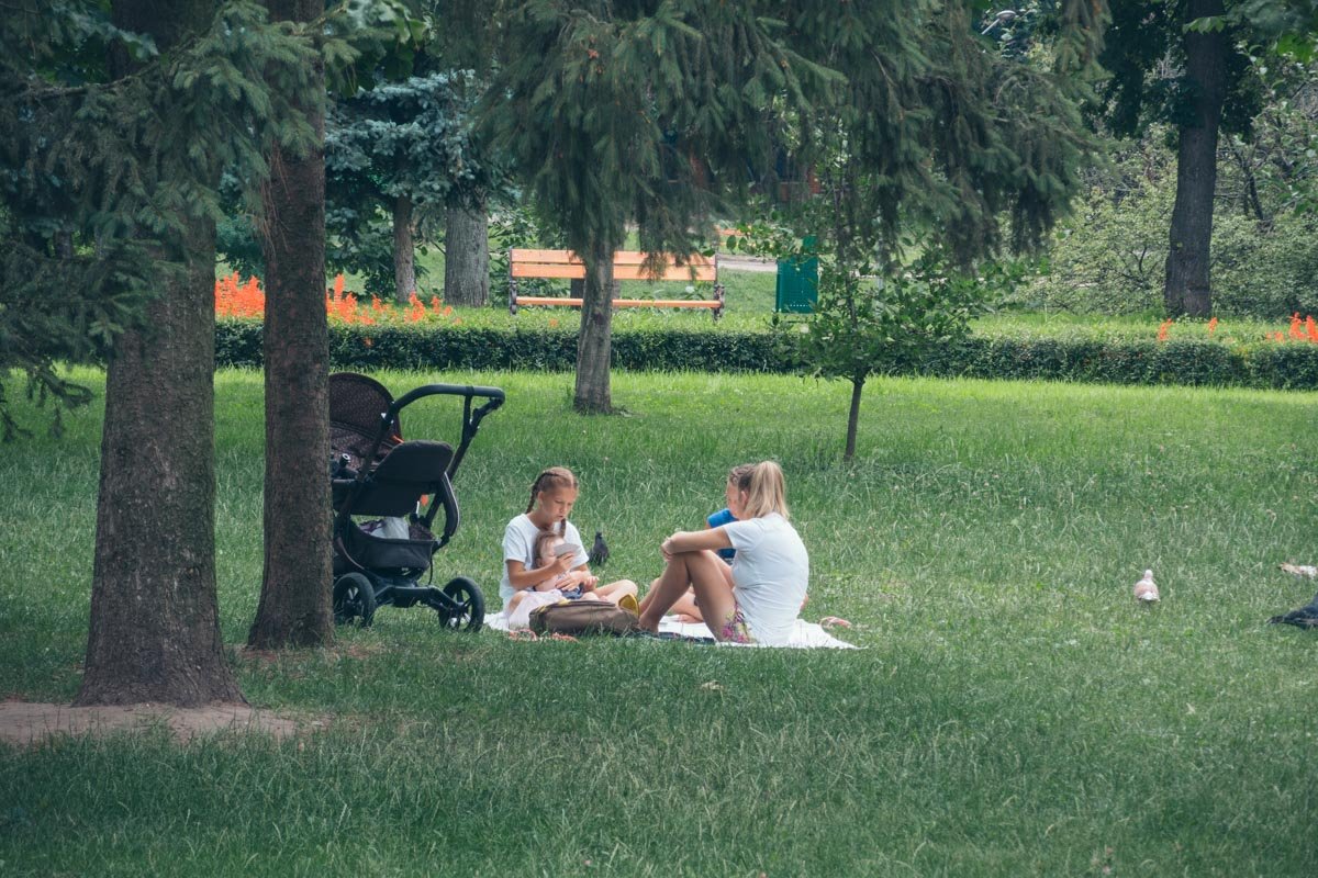 Можно даже устроить пикник в парке Можно даже устроить пикник в парке
