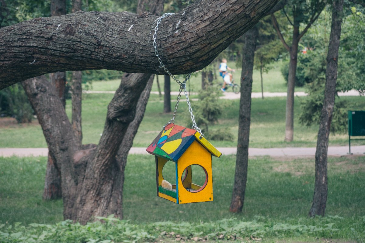 Кушать дают и местным обитателям - братьям нашим меньшим Кушать дают и местным обитателям - братьям нашим меньшим