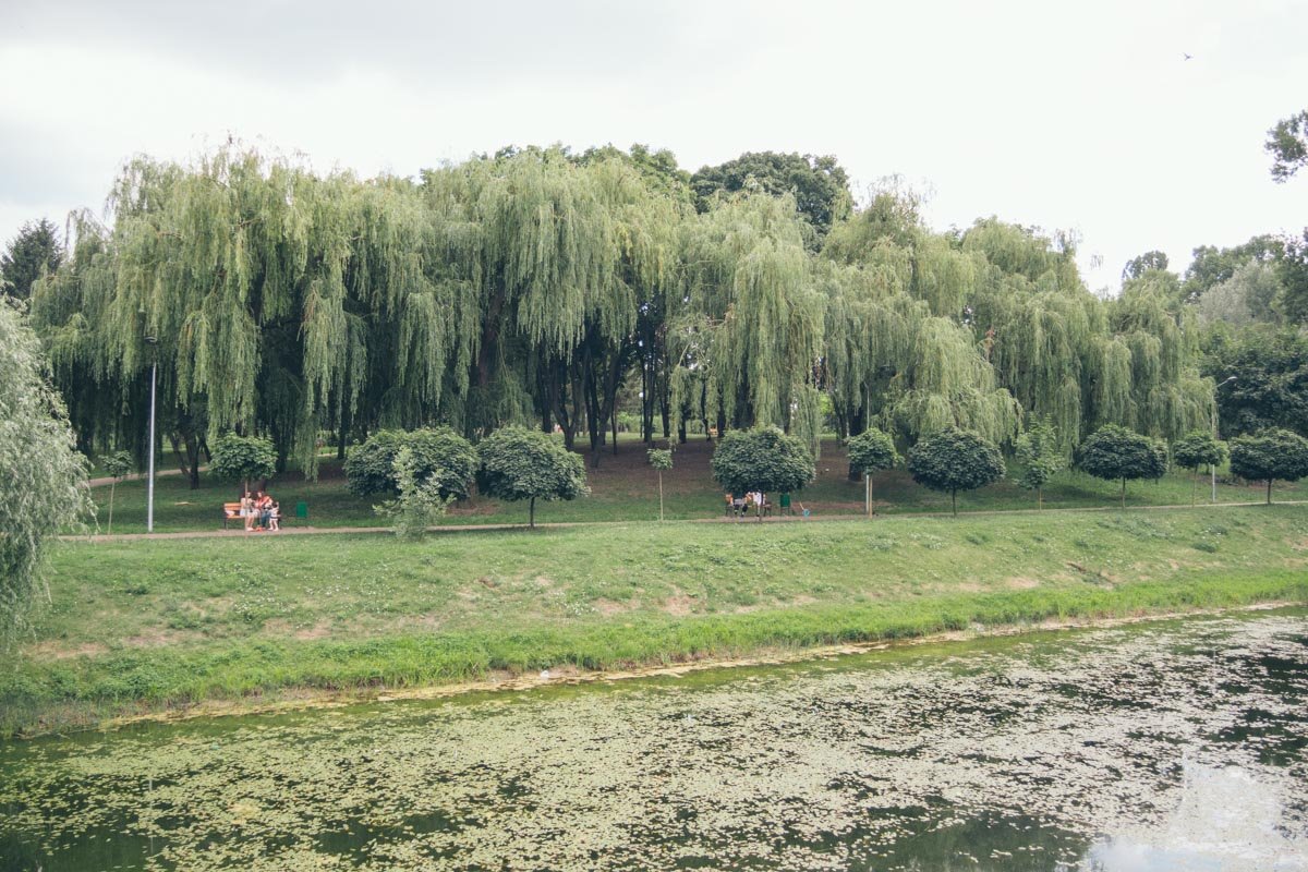 Даже не пугает, что вода в нем зацвела Даже не пугает, что вода в нем зацвела