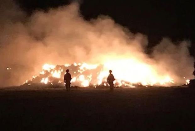 А это результат ее борьбы с зомби