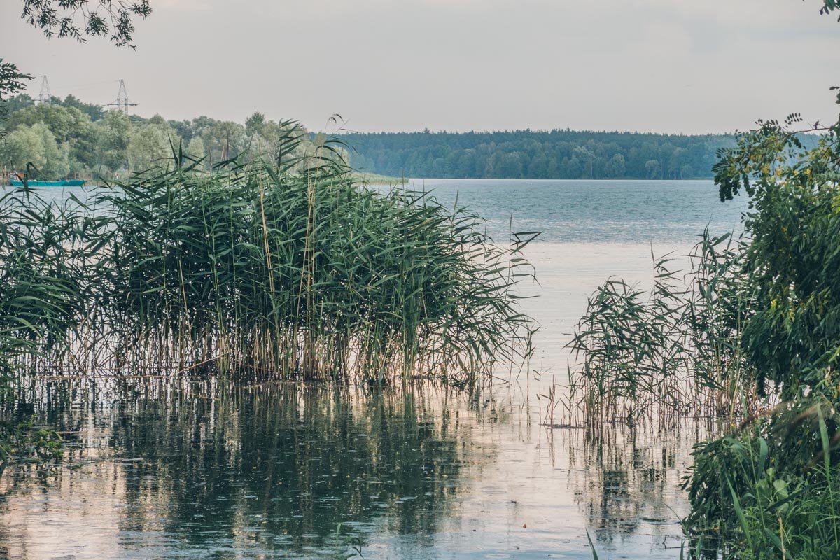 Некоторые выходы к берегу не только не очищены от зарослей, но и полны мусора