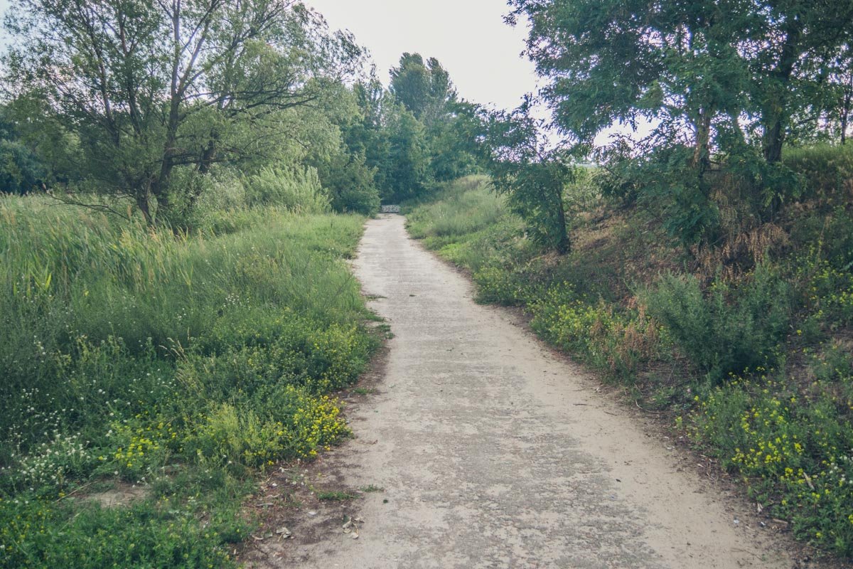 Прилегающая к озеру территория считается очень комфортной для прогулок