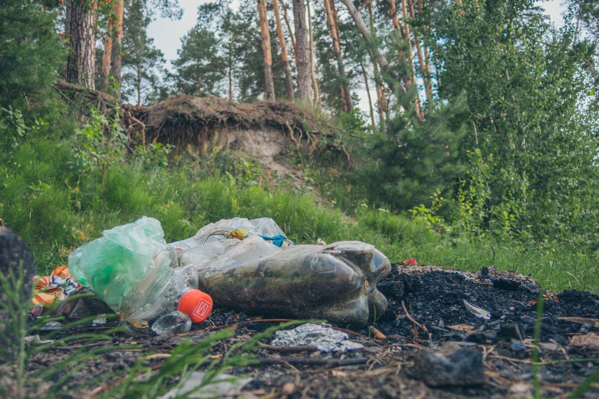 Но мусор есть как в озере, так и на территории зоны отдыха