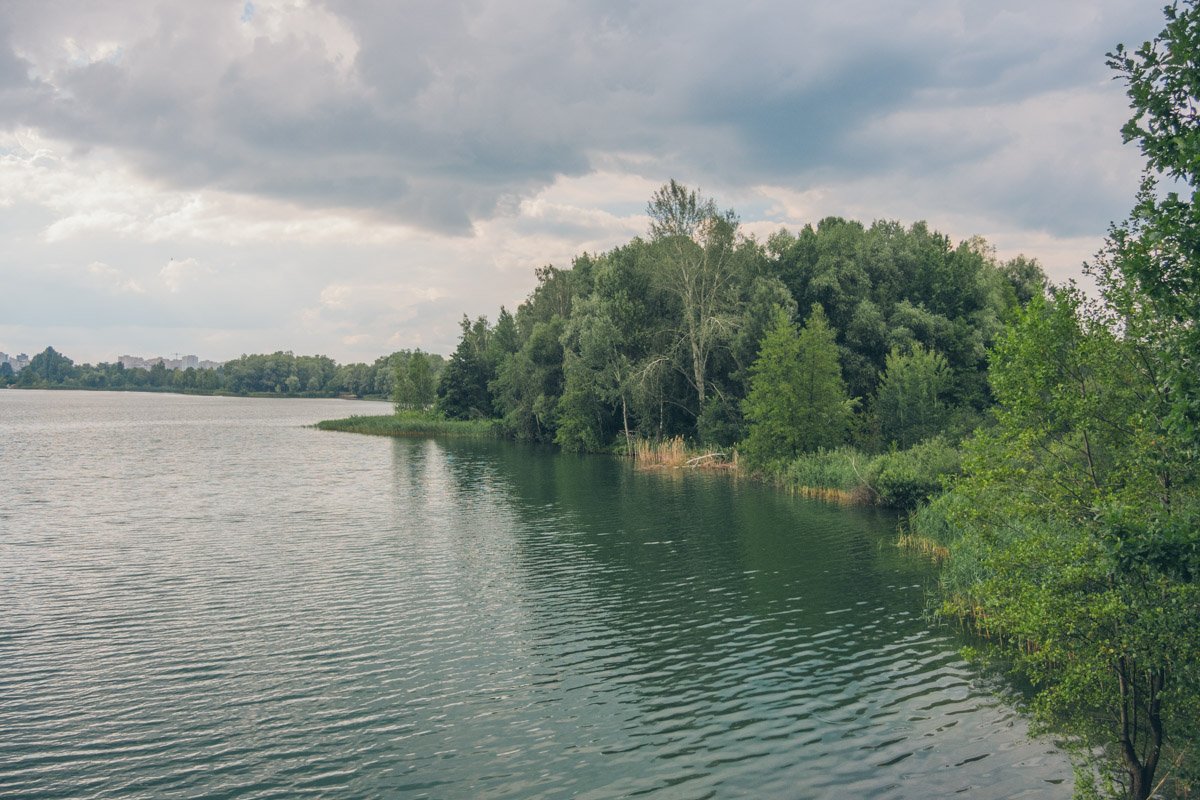 Зеленый и голубой - необычайное сочетание в природе