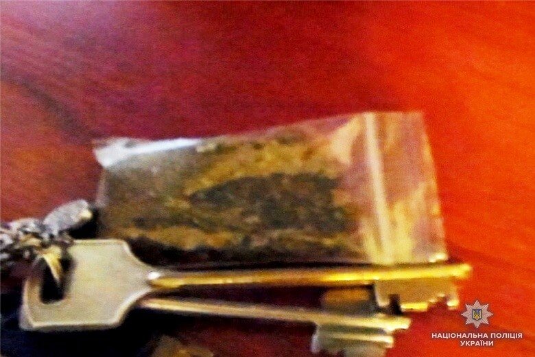 Следователи нашли в квартире вещество растительного происхождения зеленого цвета, предварительно — марихуану