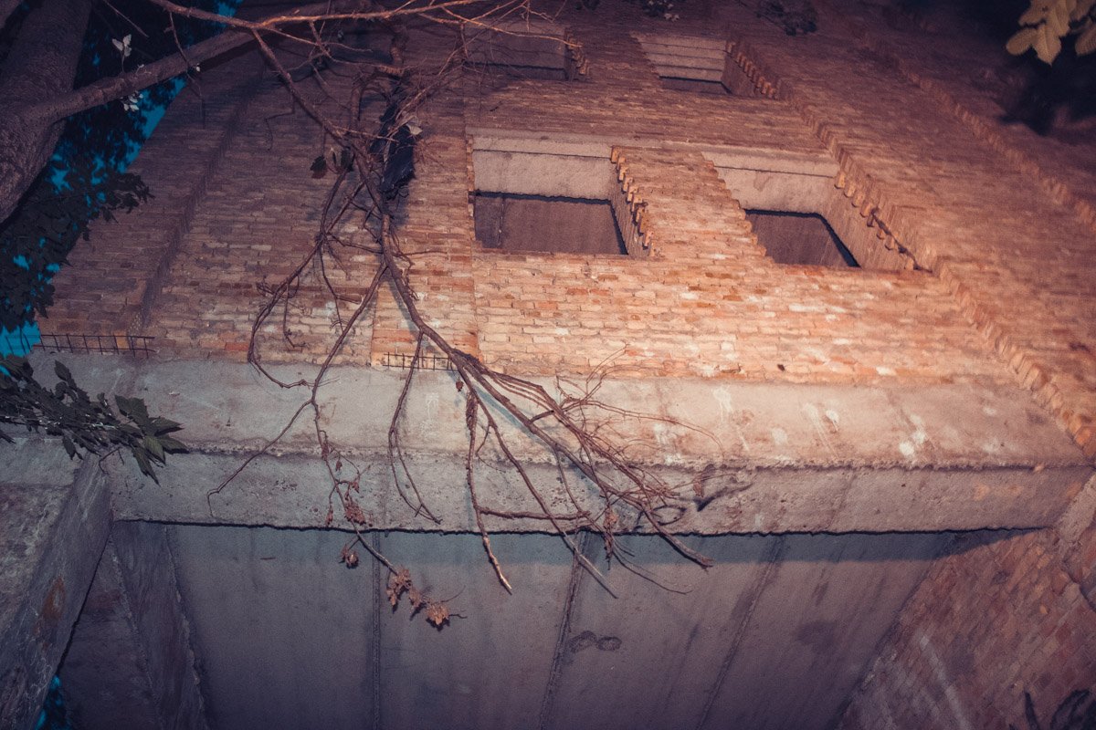 Предположительно, дерево смягчило падение