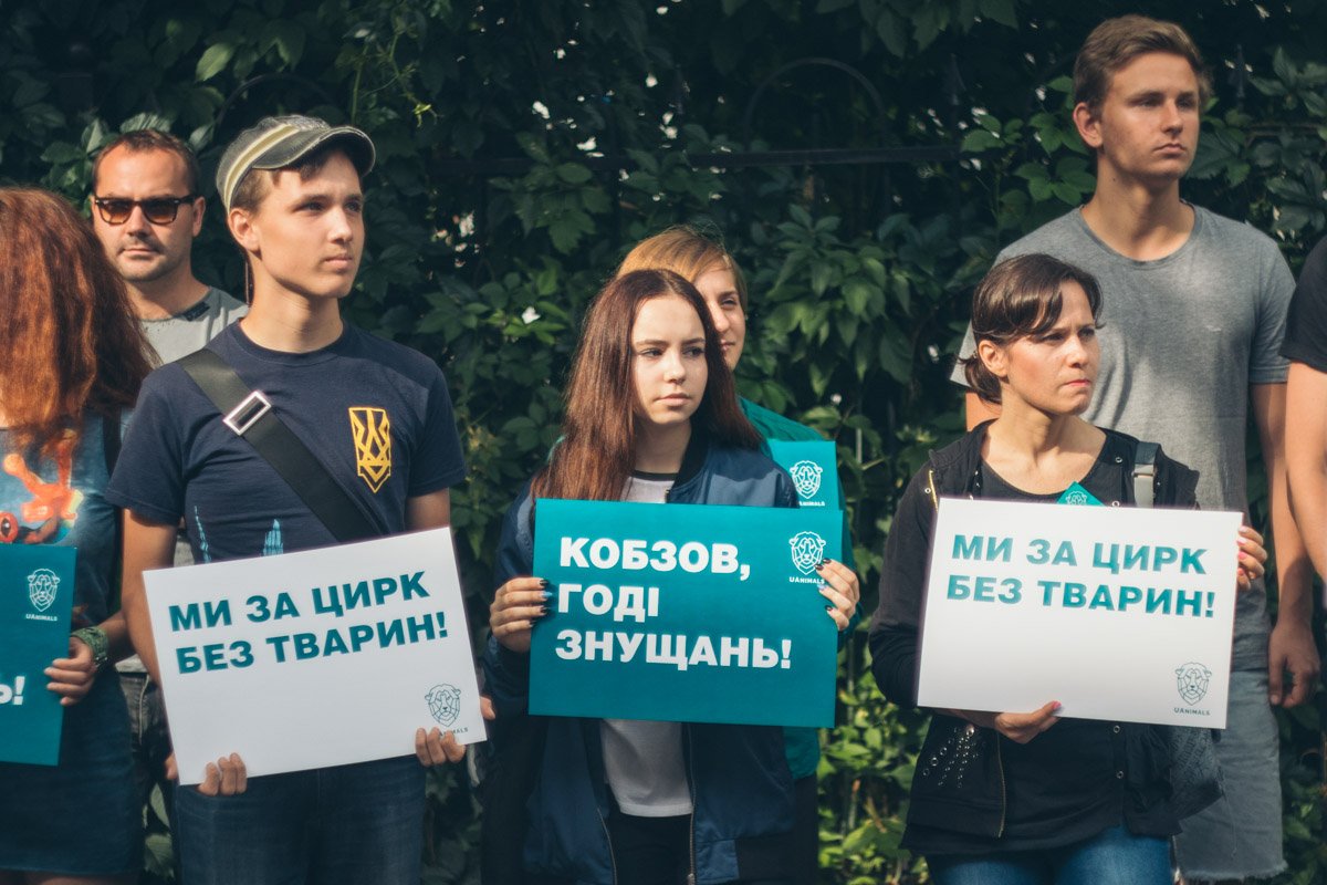 В Киеве прошел митинг в защиту животных