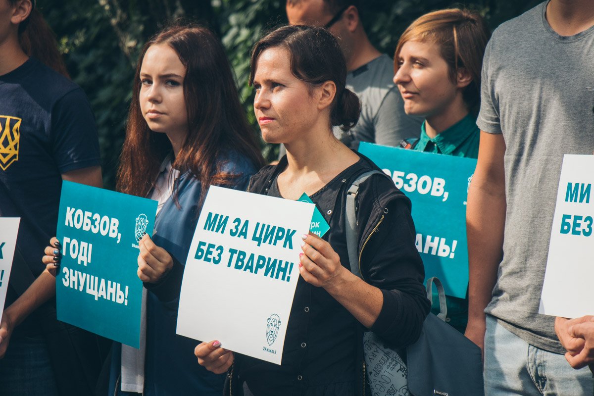 Всего собралось около 30 человек