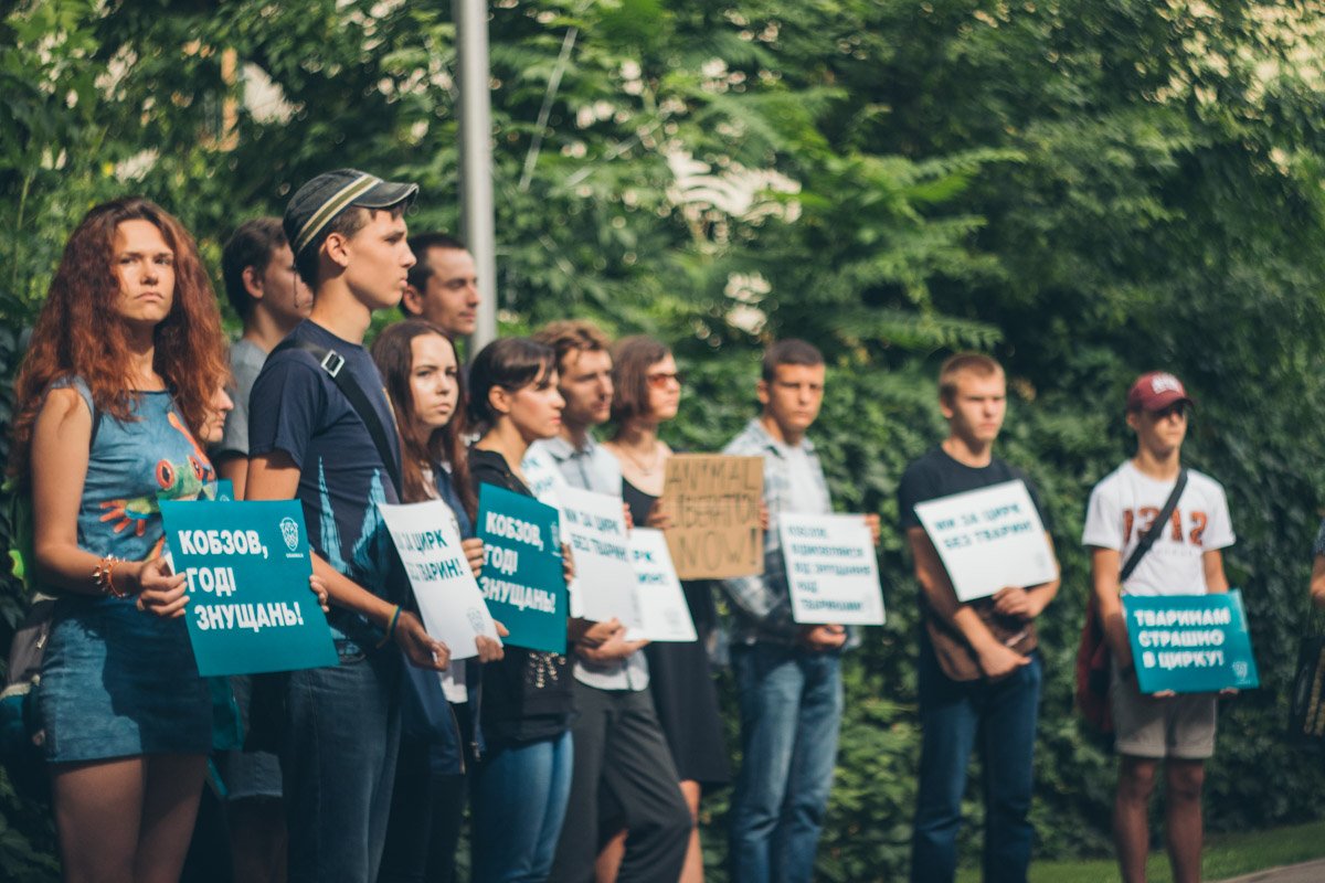 Всем участникам раздали одинаковые плакаты