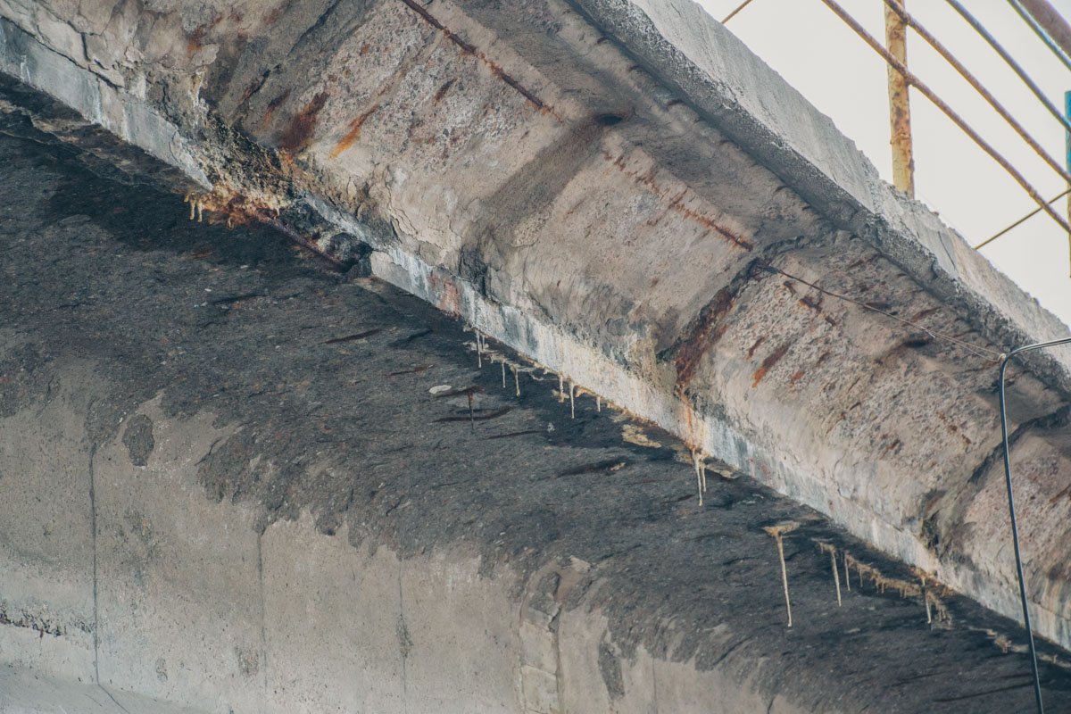 Фото: Андрей Шматов 